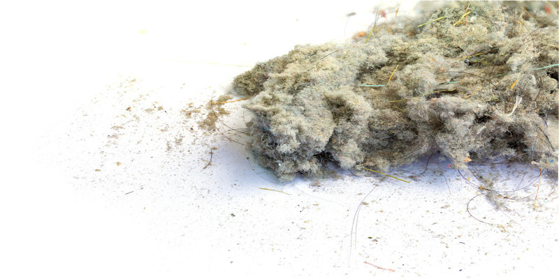 House dust is the main source of allergens