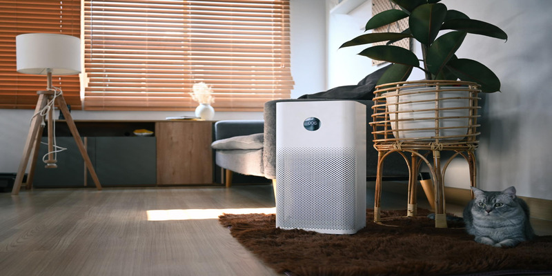 Air purifier in a cozy living room with a gray cat resting nearby