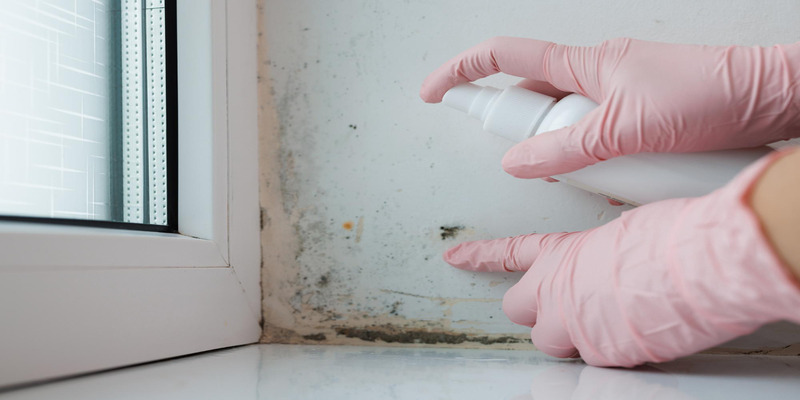 Cleaning mold near window frame with spray and protective gloves