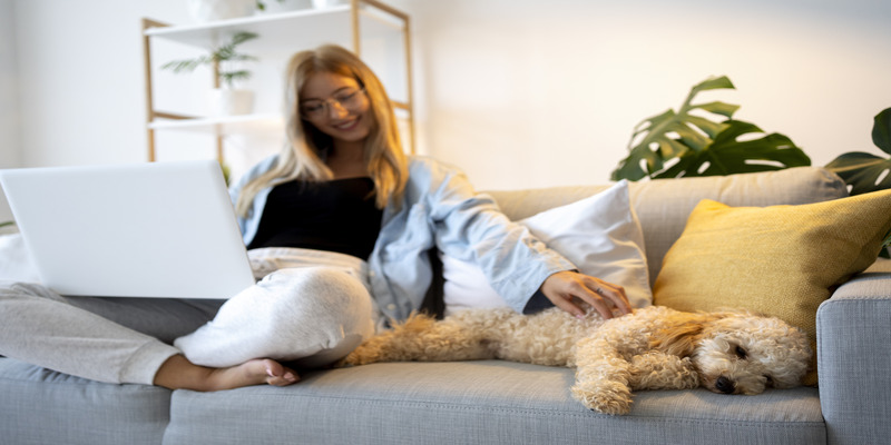 comfortable temperature for dog