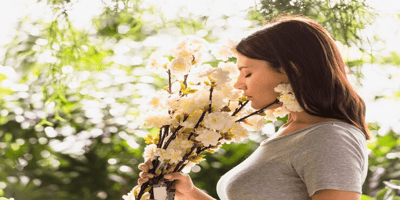 Air quality and allergy