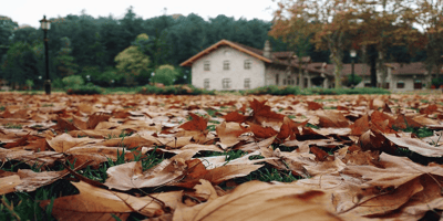 Optimal thermostat setting for fall