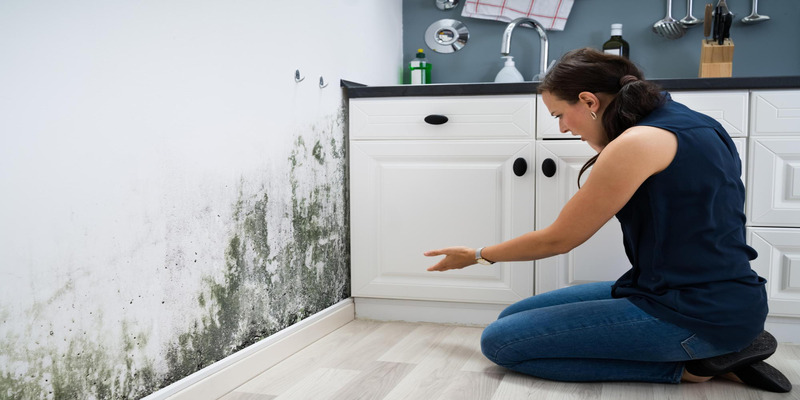 Woman inspecting mold growth on wall behind kitchen cabinets