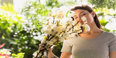 Air purifier for pollen