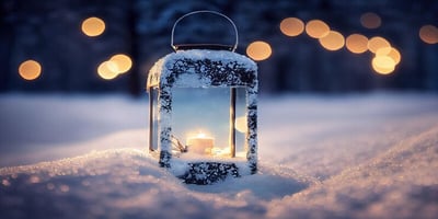 Winter sleep