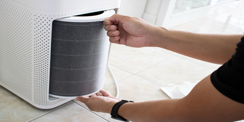 Replacing HEPA filter in air purifier for better mold control