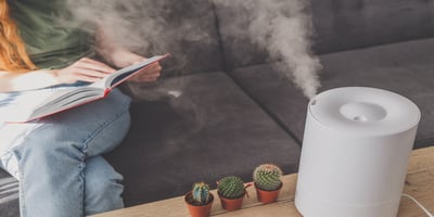 Testing indoor humidity with a home humidifier